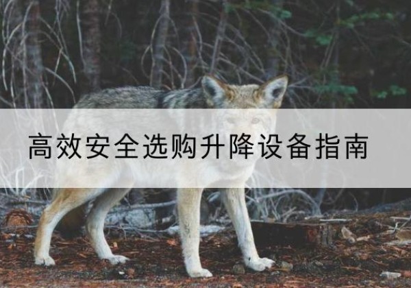 温江升降货梯厂家推荐-*安全选购升降设备指南