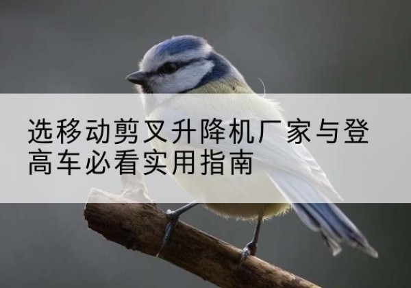 温江电动升降机厂家-选移动剪叉升降机厂家与登高车必看实用指南