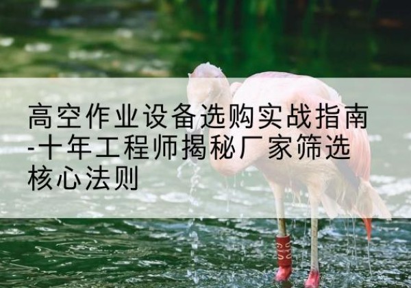 温江剪叉式升降机厂家-高空作业设备选购实战指南-十年工程师揭秘厂家筛选核心法则